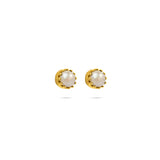 white pearls gold plated earrings